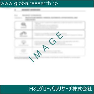 グローバルリサーチ調査資料のイメージ